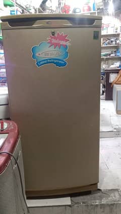 argnt sale call 03417055727