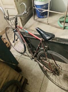 Fast Lightweight Bicycle with Gear