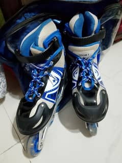 Skate