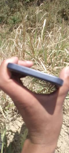 tacno