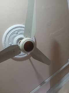 Ceiling Fan