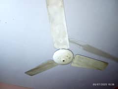80