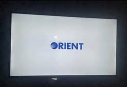Orient LED
