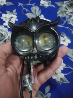 eagle light for sale