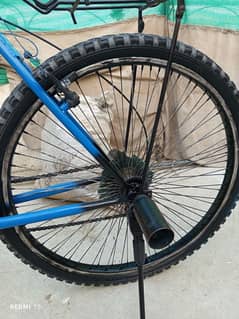 cycle Phonics