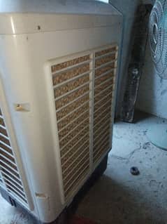 Cooler