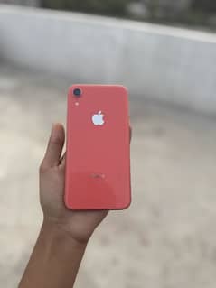 IPhone XR Non pta