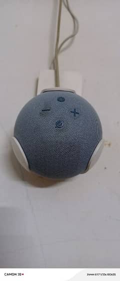 Echo