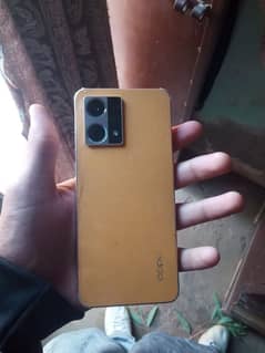 F21pro