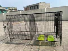 Cage for birds | reasonable price