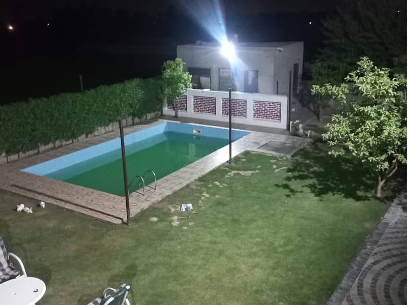 Farm House Available For Rent in Lahore Swimming Pool for Rent Lahore 3