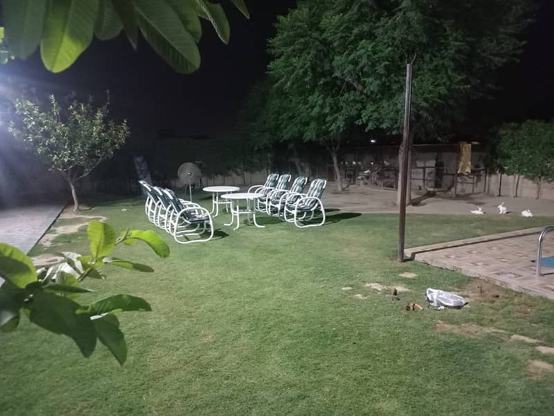 Farm House Available For Rent in Lahore Swimming Pool for Rent Lahore 5