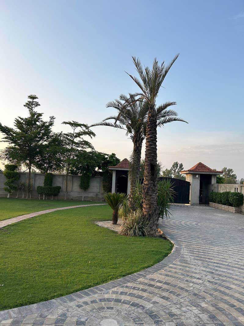 Farm House Available For Rent in Lahore Swimming Pool for Rent Lahore 8