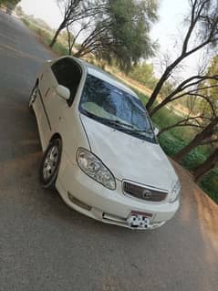 Lush condition Toyota Corolla 2.0D saloon For sale