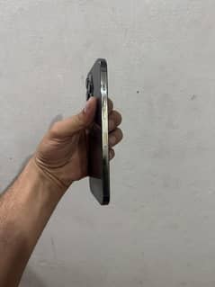 iPhone 12 Pro Max FU