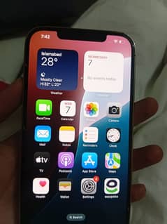IPhone 12 pro Max PTA Approved