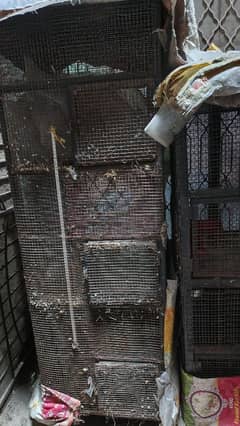 cage for sale
