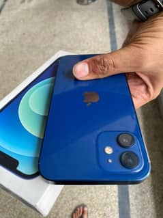 Iphone 12 PTA 256GB 0324°9376316 Call on WhatsApp