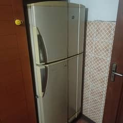 PEL Refrigerator (Tower) for Sale