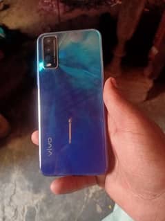 vivo