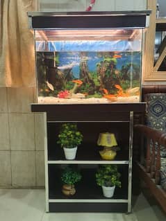 Brand new Aquarim