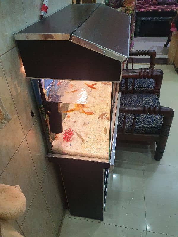 Brand new Aquarim 2