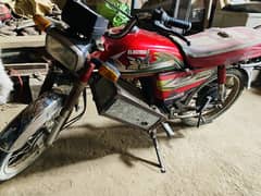 Road King Electric Bike