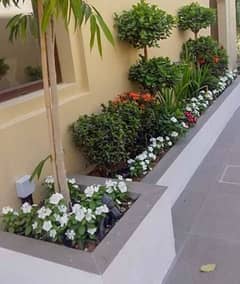 Mali gardener Available