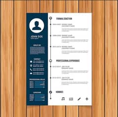 Online Professional cv Design