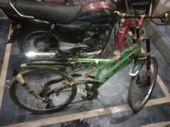 Cycle