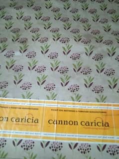 Cannon caricia spring mattresses