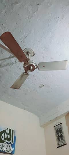 cieling fans