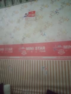 Ministar Foam Mattress