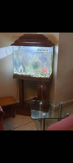 Aquarium