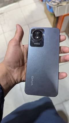 vivo