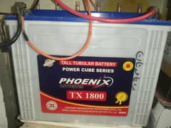 Phoenix Tall tubular battery 185AH