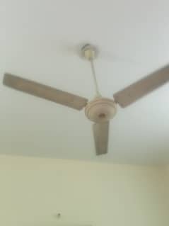 Fan for sale h