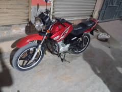 ybr