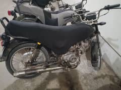 Unique model 2019