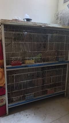 used cage