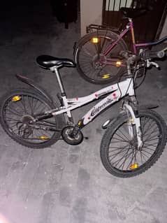 imported Mountain bike