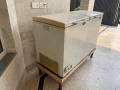Dawlence 2in1 Deep Freezer