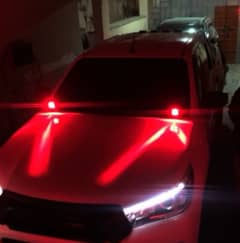 Shooter/Spotter/hunting lights
