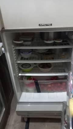 Pel refrigerator for sale