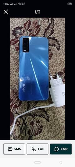 vivo