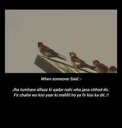 I need Job or ma. panjab sa ho