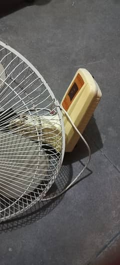 Bracket fan