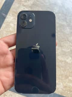 iPhone 12