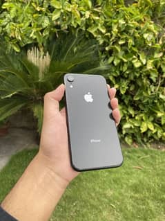 iPhone