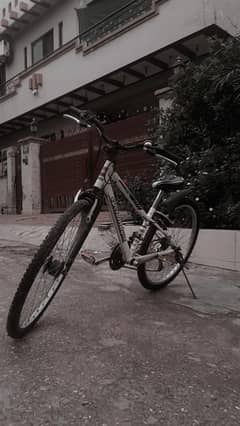 Japanese cycle